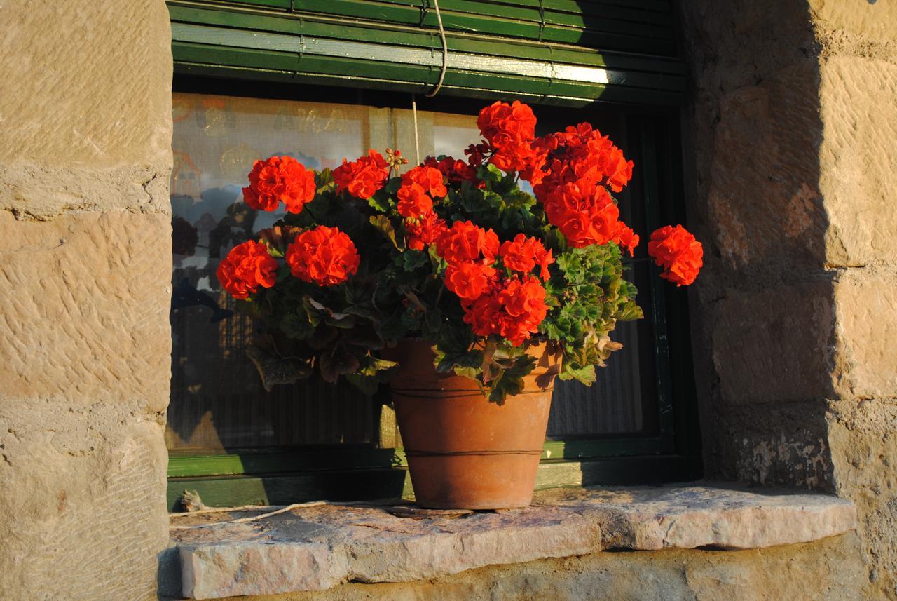 Hostal Guara Rural Panzano Exterior foto